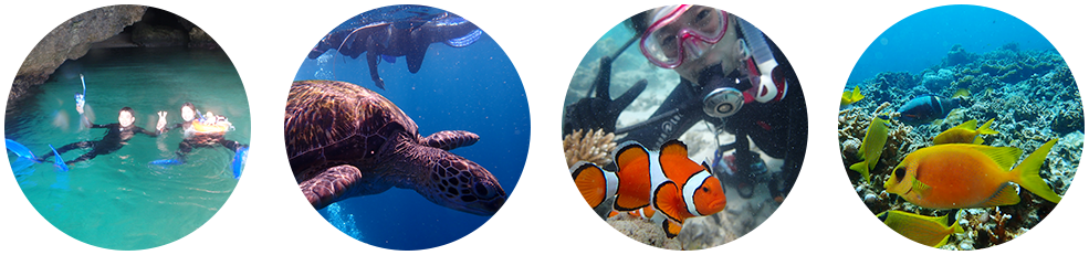 石垣島ダイビング・シュノーケリング風景 石垣島ダイビング・シュノーケリング風景