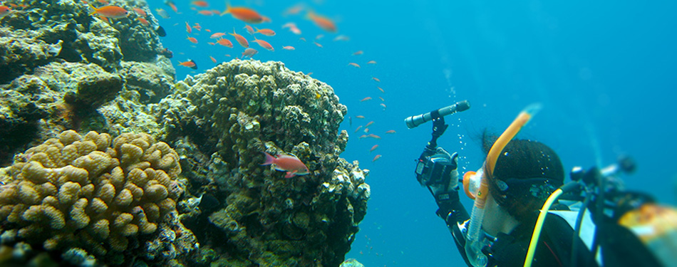 体験ダイビング 体験ダイビング