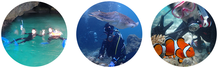 ダイビング・シュノーケリング風景 ダイビング・シュノーケリング風景